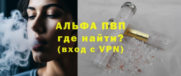 прущие грибы Беломорск