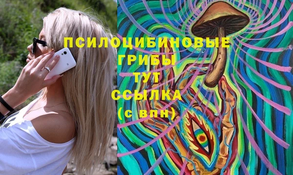 прущие грибы Беломорск