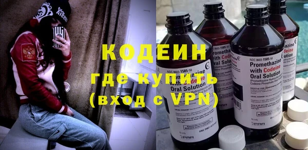 хмурый Белокуриха