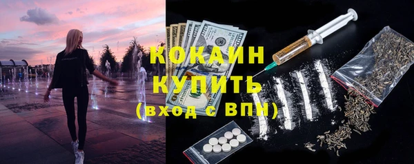 хмурый Белокуриха