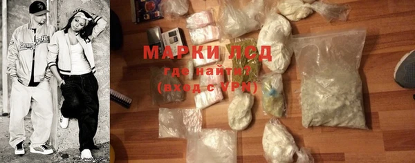 хмурый Белокуриха