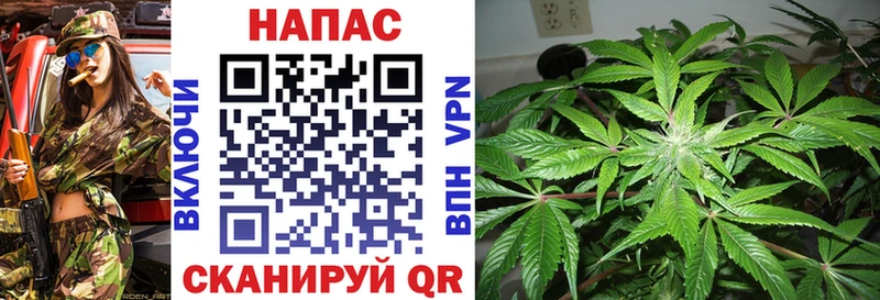 Бошки марихуана White Widow Бузулук
